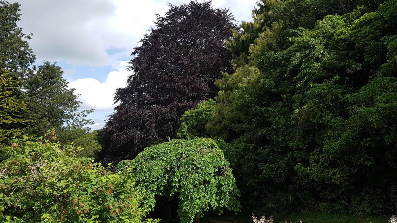 Bushy Park Historical Homestead Kai Iwi Εξωτερικό φωτογραφία