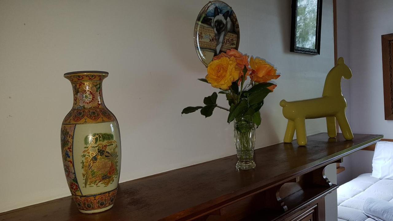 Bushy Park Historical Homestead Kai Iwi Εξωτερικό φωτογραφία
